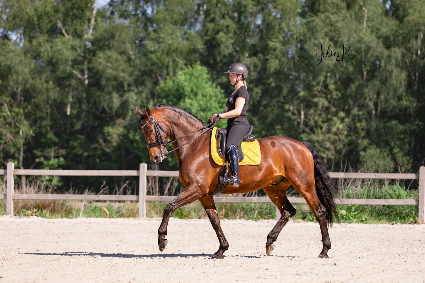 Paardenrit met LUMINOUS ORANGE zadeldek in een zonnige rijomgeving