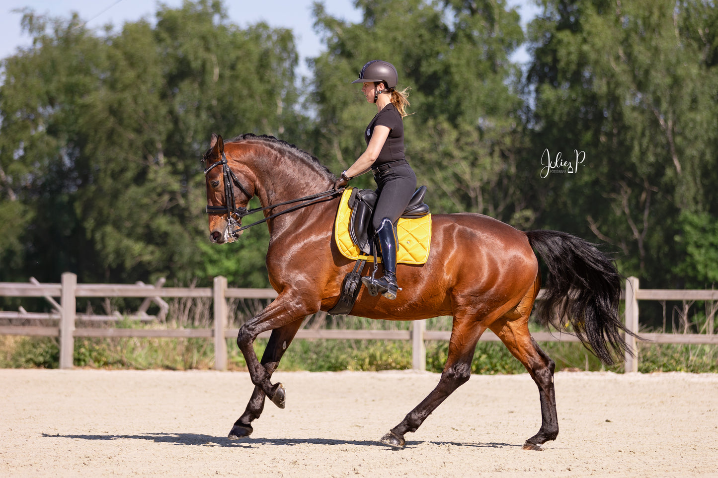 Vrouw die op een bruine paarden met een LUMINOUS ORANGE zadel rijdt in een buitenreitgebied