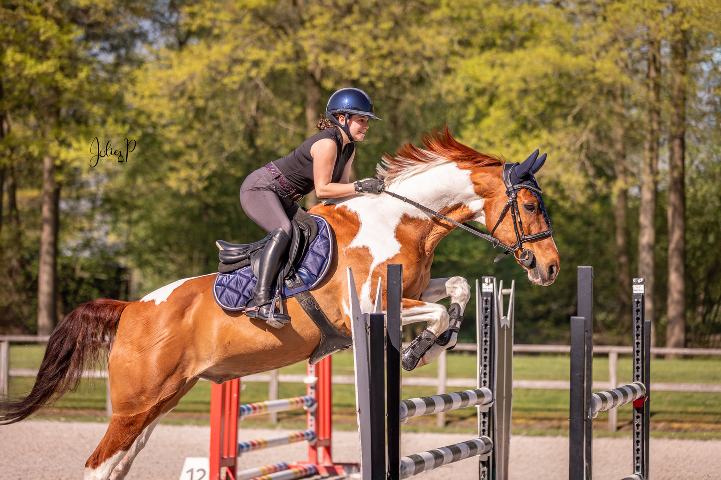 Paard met ruiter springt over hindernis, beiden in SPACE BLUE uitrusting voor een dynamische rijervaring