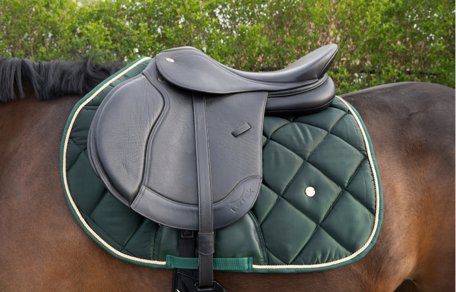 Zadel met een FIR GREEN zadelonderlegger en zwart leren zadel op een paard