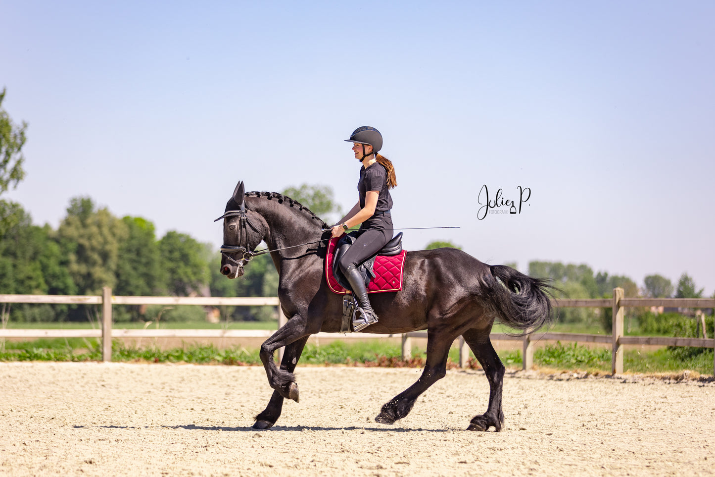 Ruiter in het zwart met paard op een dressuurterrein, met een Bordeaux Velvet zadeldekje