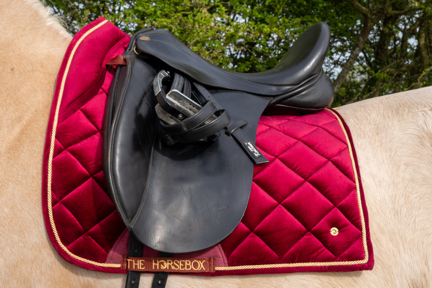 Zadeldekje in Bordeaux Velvet met een zwart zadel en stijgbeugels voor paardenliefhebbers