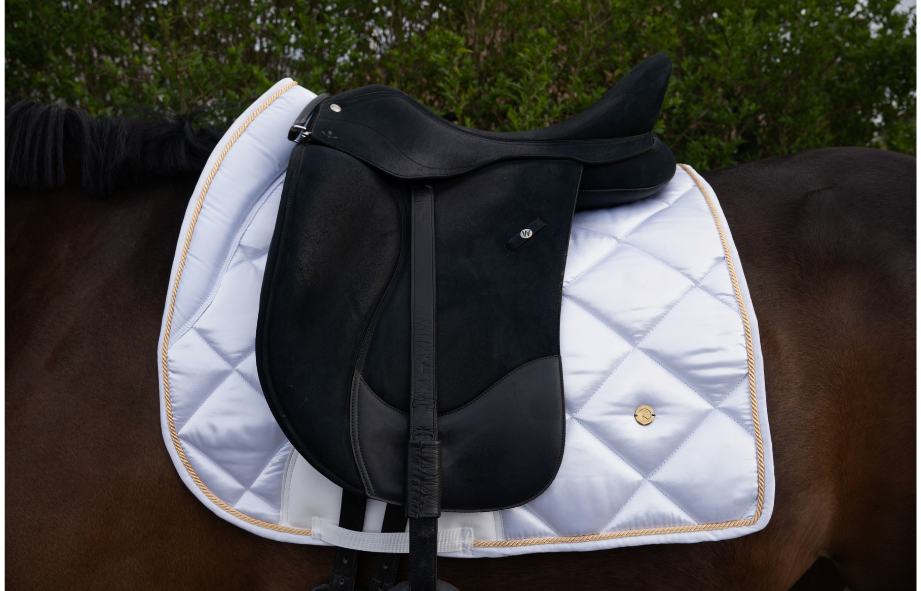 WHITE GOLD COMPETITION (Dressuur)