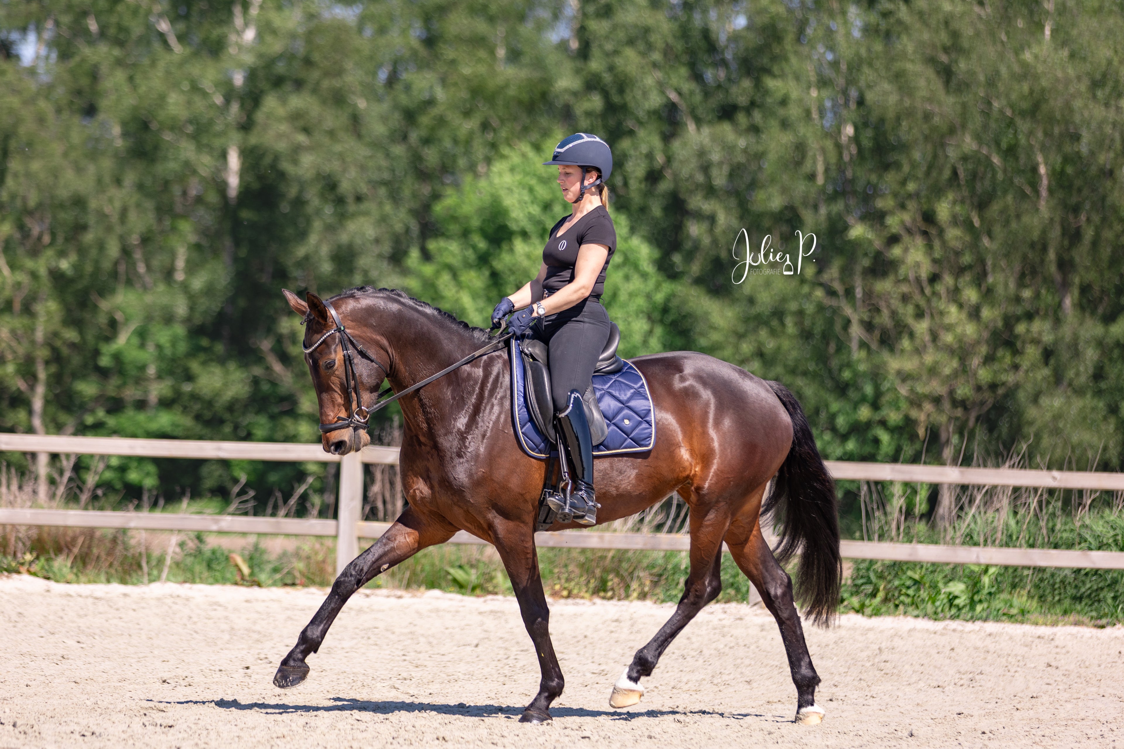 Ruiter in zwarte outfit op een paard met SPACE BLUE - Full Dressuur zadeldek tijdens het rijden
