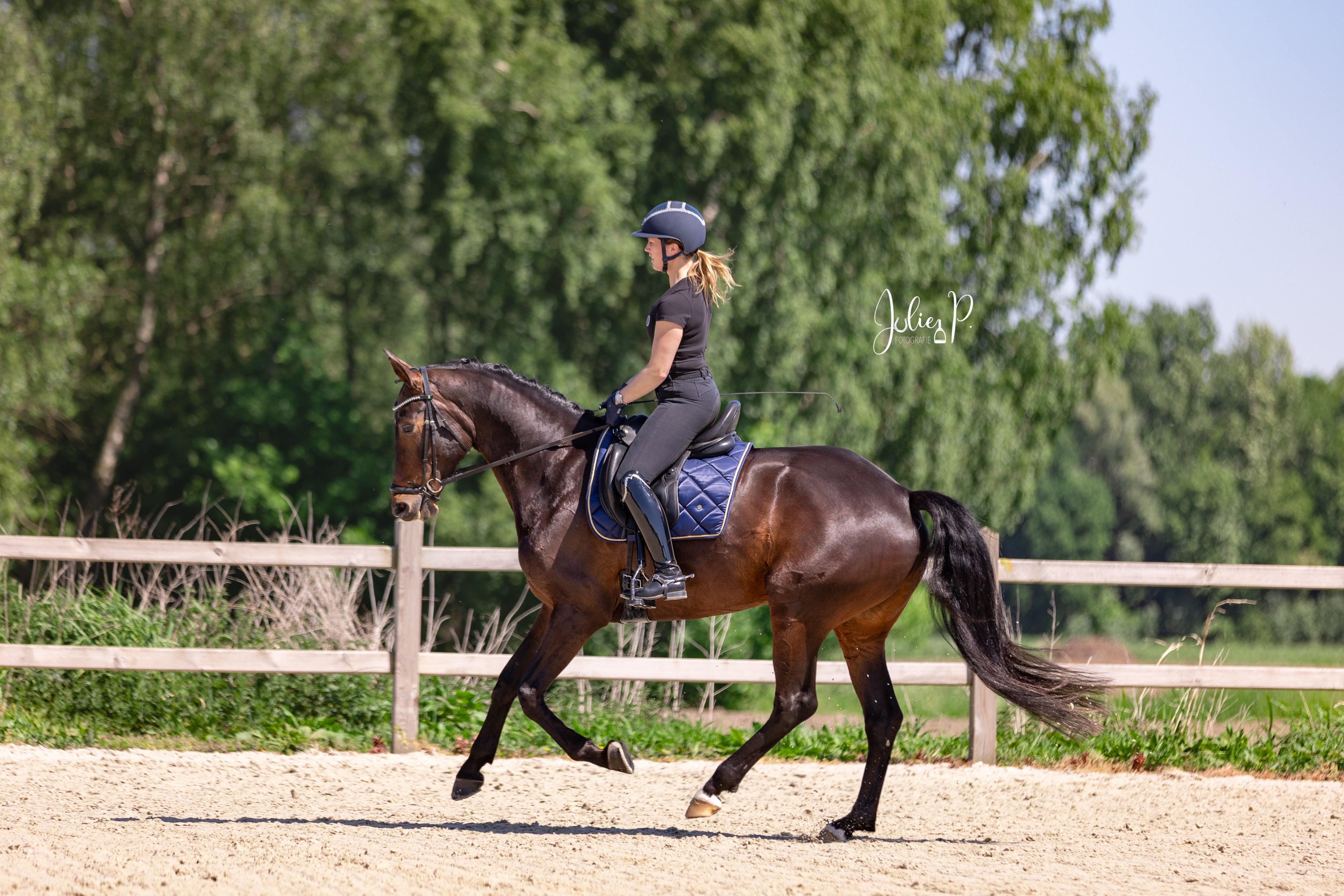 Ruiter in zwarte kleding op een paard met SPACE BLUE - Full Dressuur zadel op een dressuurring