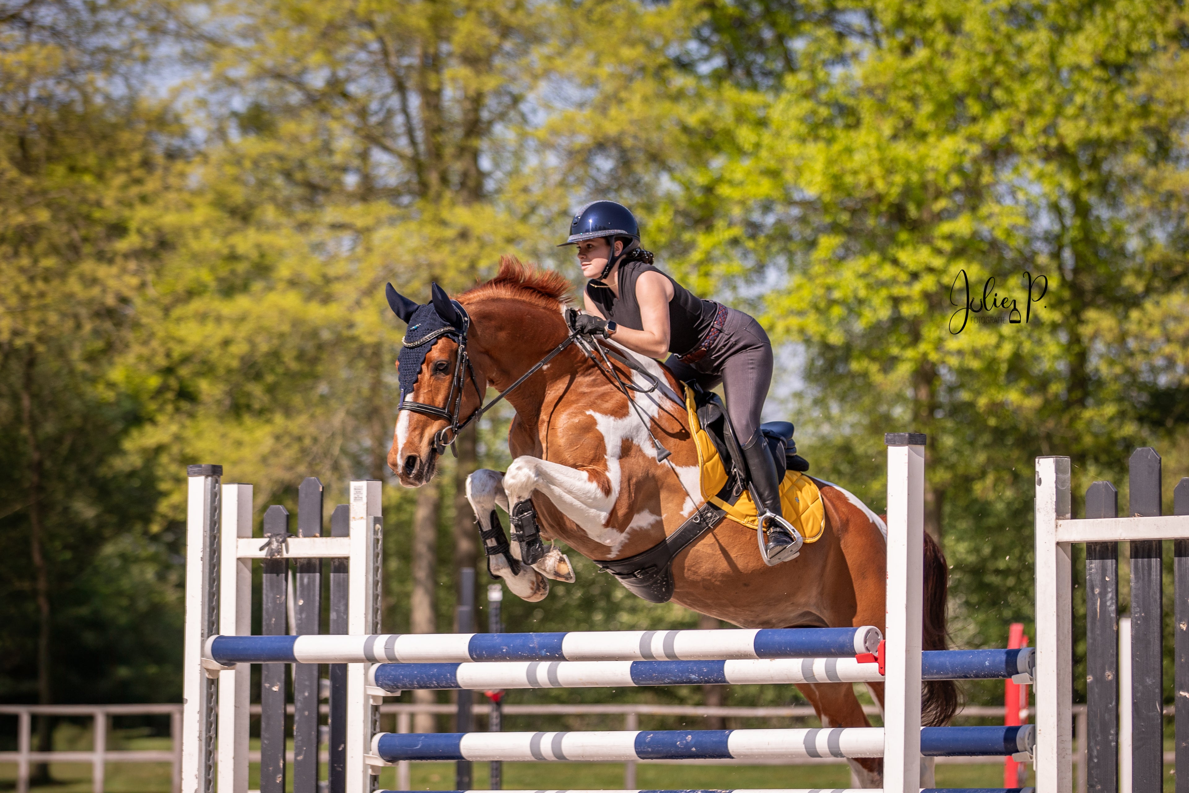 Paard springt over hindernis in een luminous orange zadel met ruiter in de natuur