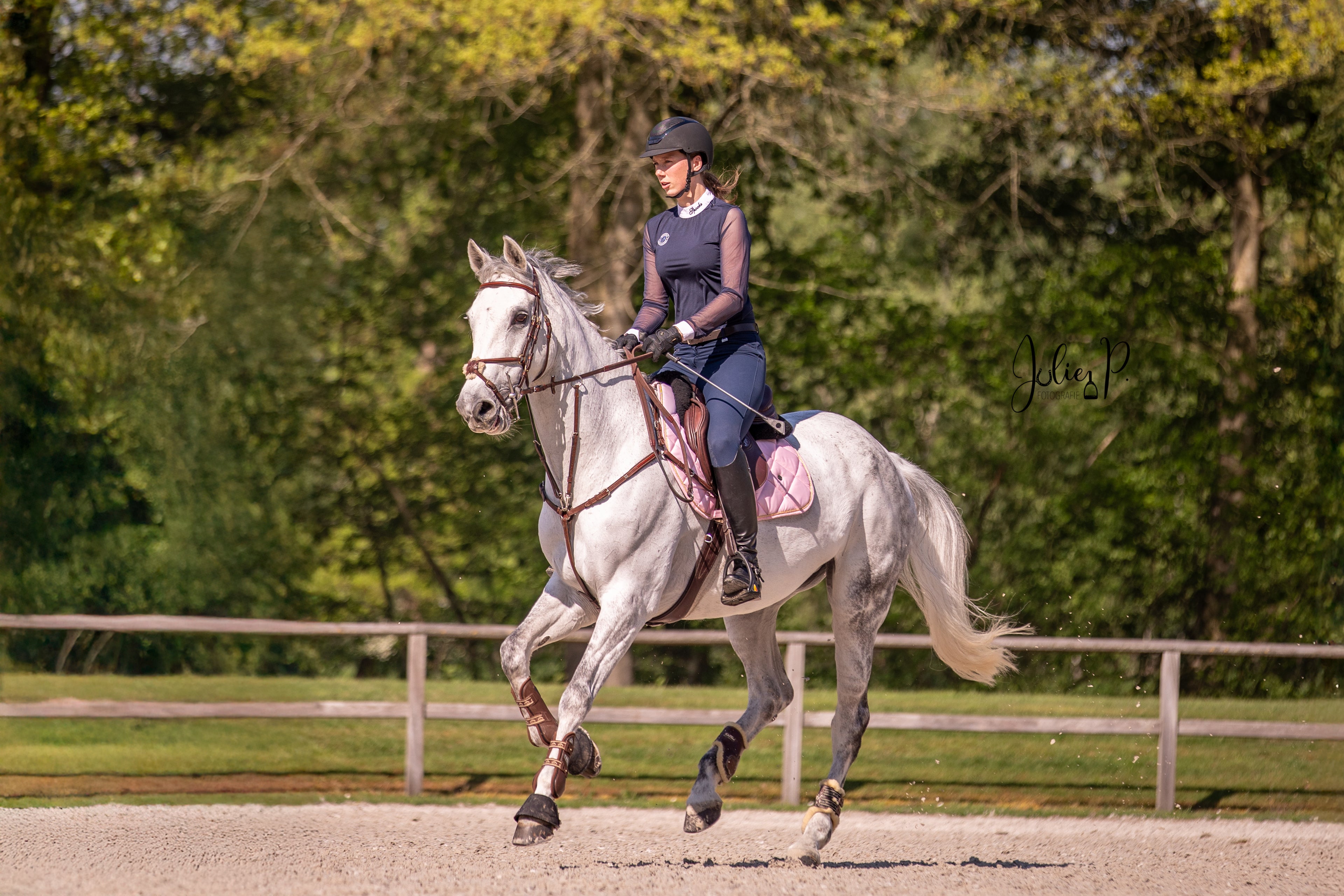 Ruiter in donkerblauwe outfit rijdt op een grijze paard met een lichtroze zadeldeken LIGHT PINK 