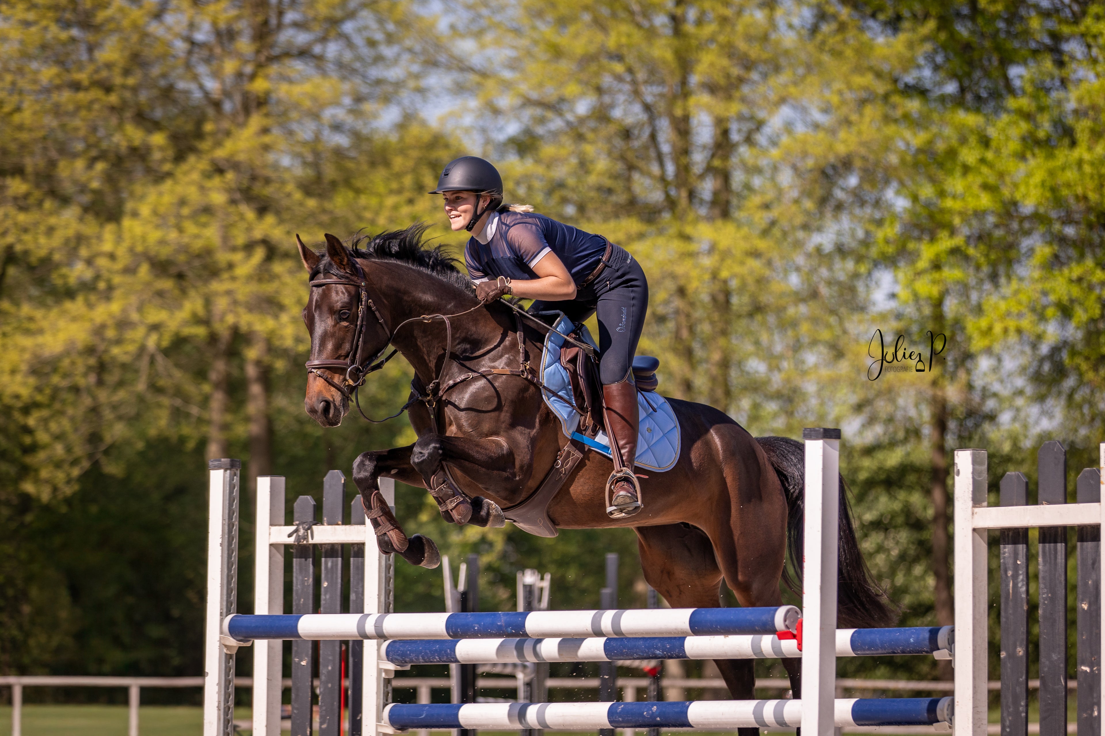 Paard dat springt over hindernissen met ruiter in pastel blue outfit voor een zonnige achtergrond PASTEL BLUE