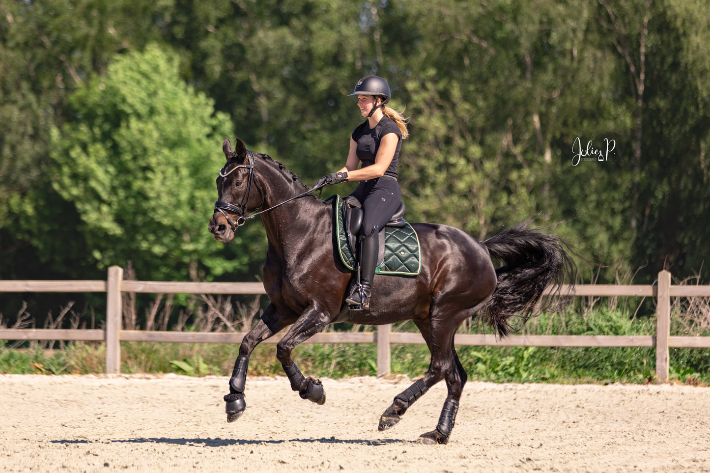 DAME OP ZWART PAARD IN EEN FIR GREEN ZADDELDEK, RENNEN OP EEN DRESSUURBAAN