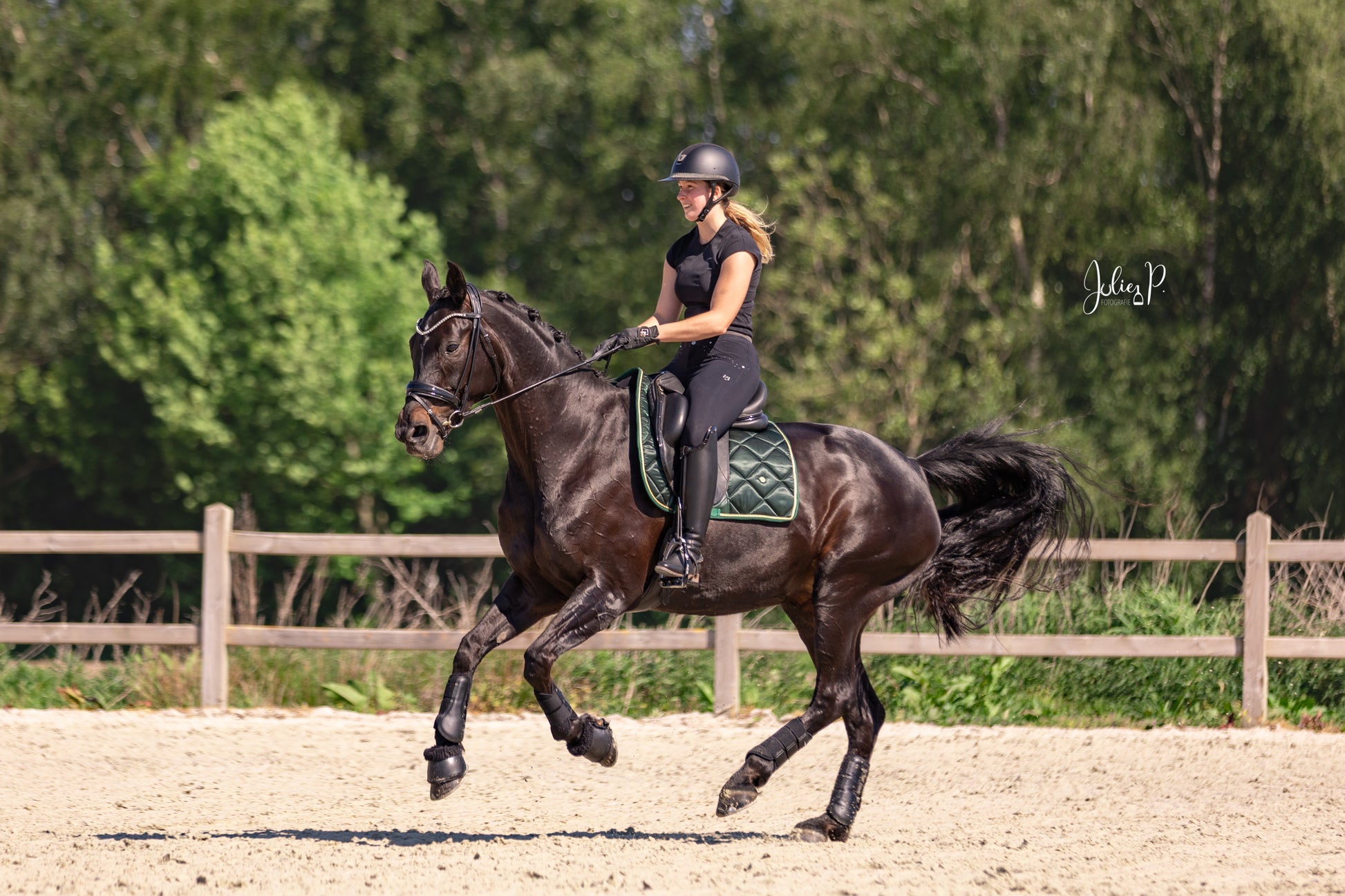 DAME OP ZWART PAARD IN EEN FIR GREEN ZADDELDEK, RENNEN OP EEN DRESSUURBAAN