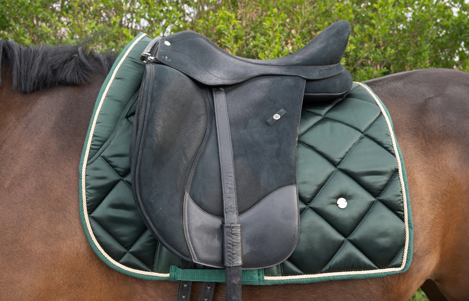THE HORSEBOX FIR GREEN Zadel met een luxe, gewatteerde onderlegger voor optimaal comfort voor ruiters