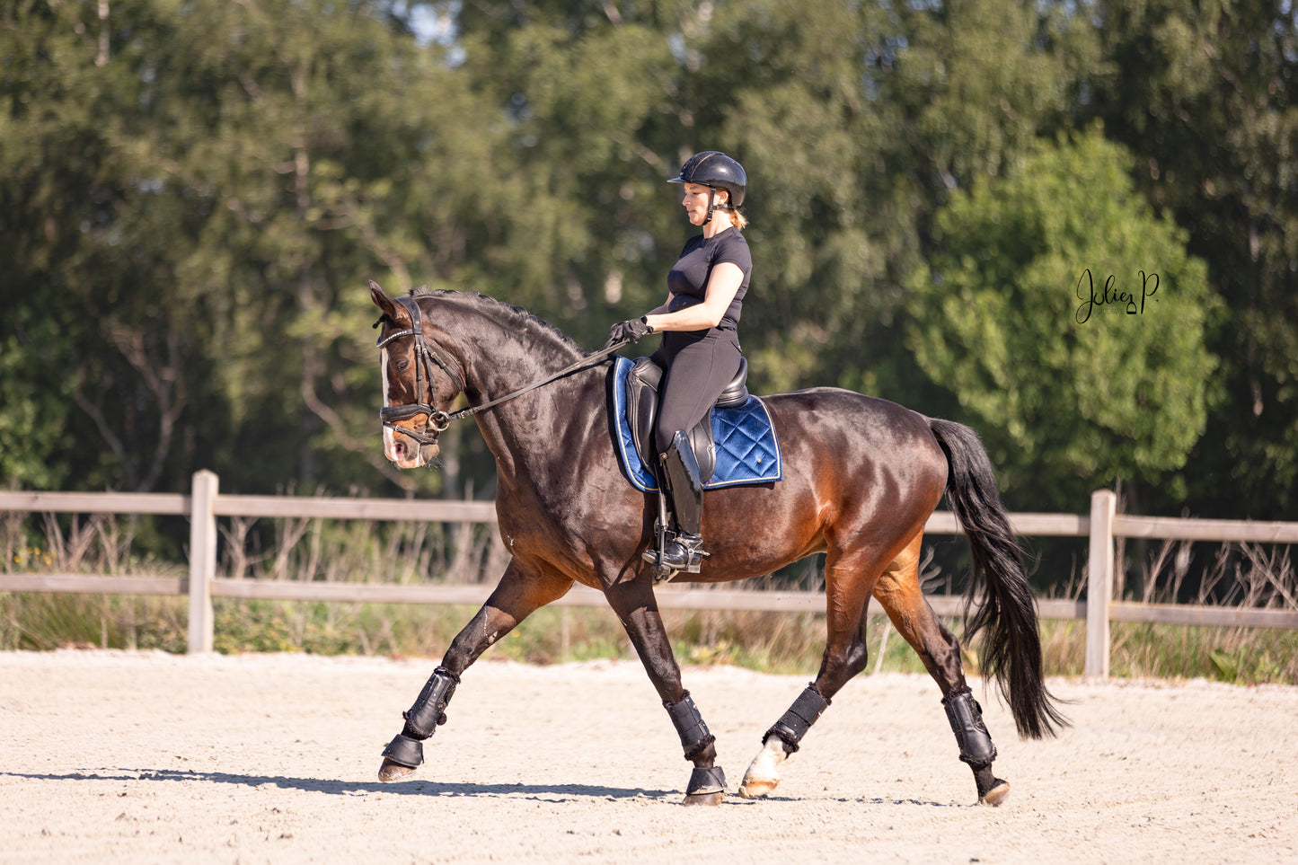 Paard met een amazone in het blauw fluwelen zadeldekje van THE HORSEBOX tijdens het rijden in een buitenmanege