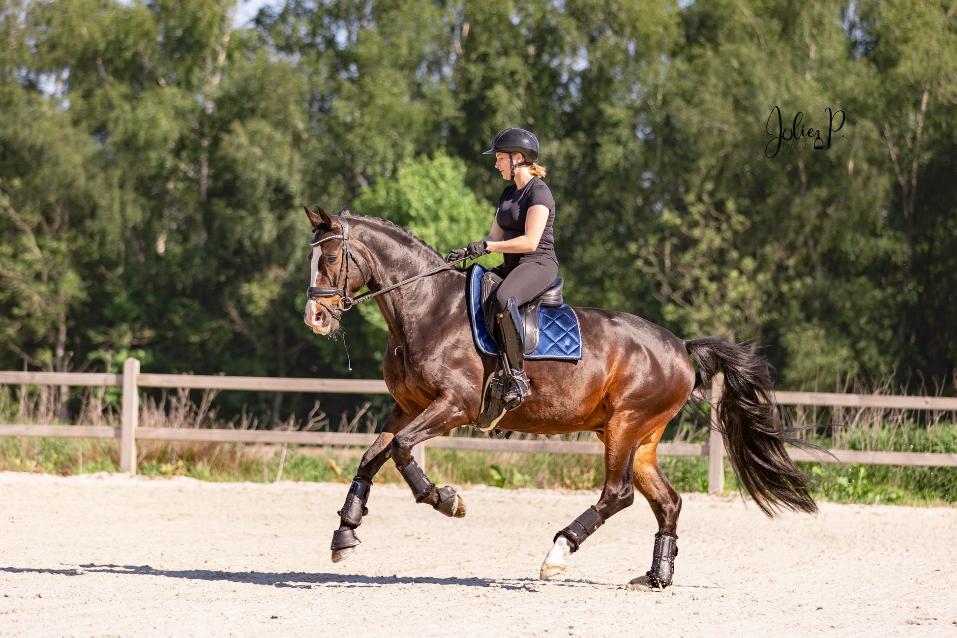 Ruiter op een paard met een BLUE VELVET zadeldekje in een buitenrijbaan