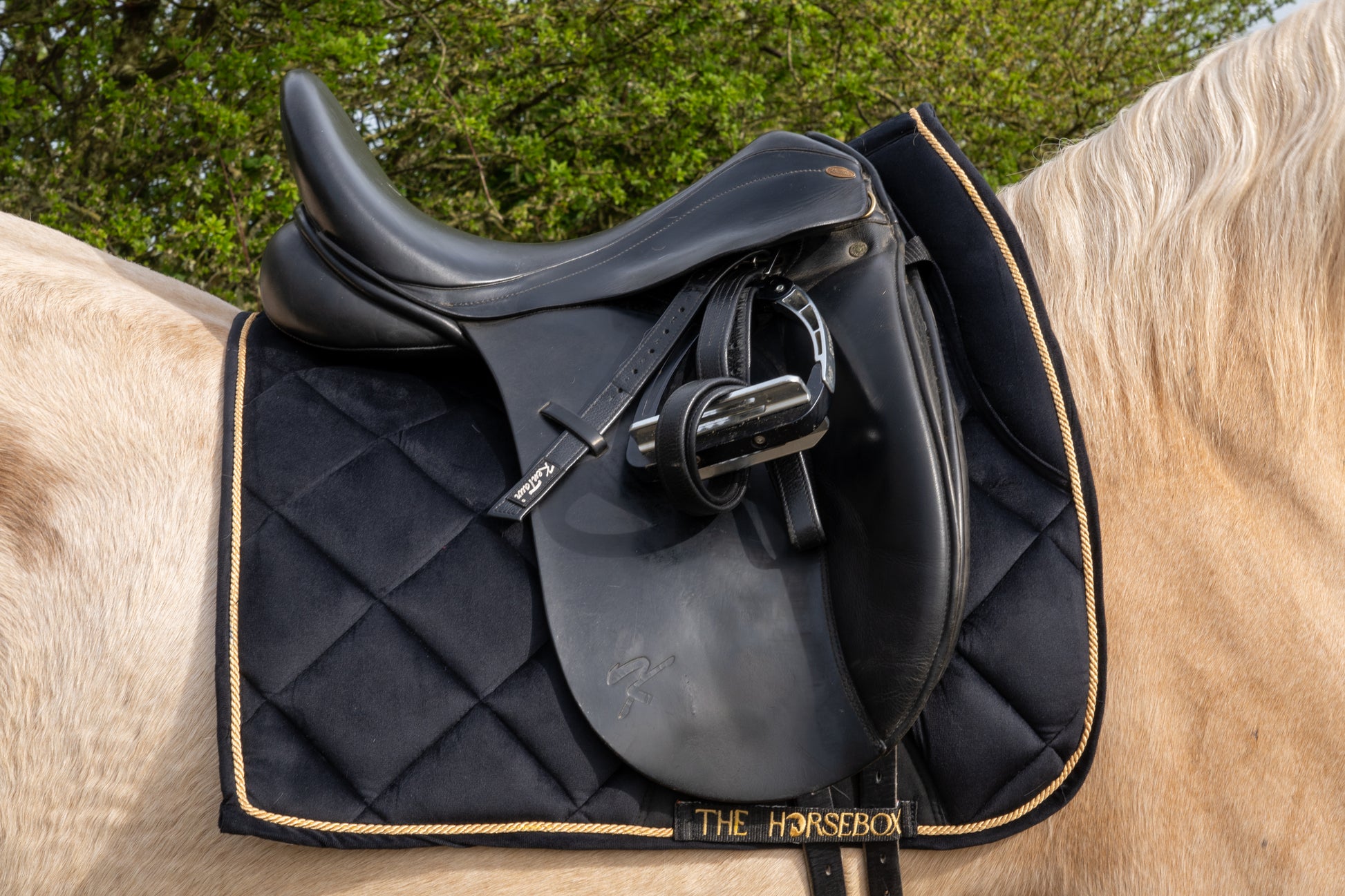 Zwart fluwelen zadeldekje van THE HORSEBOX met zadels en riemen voor een elegante uitstraling