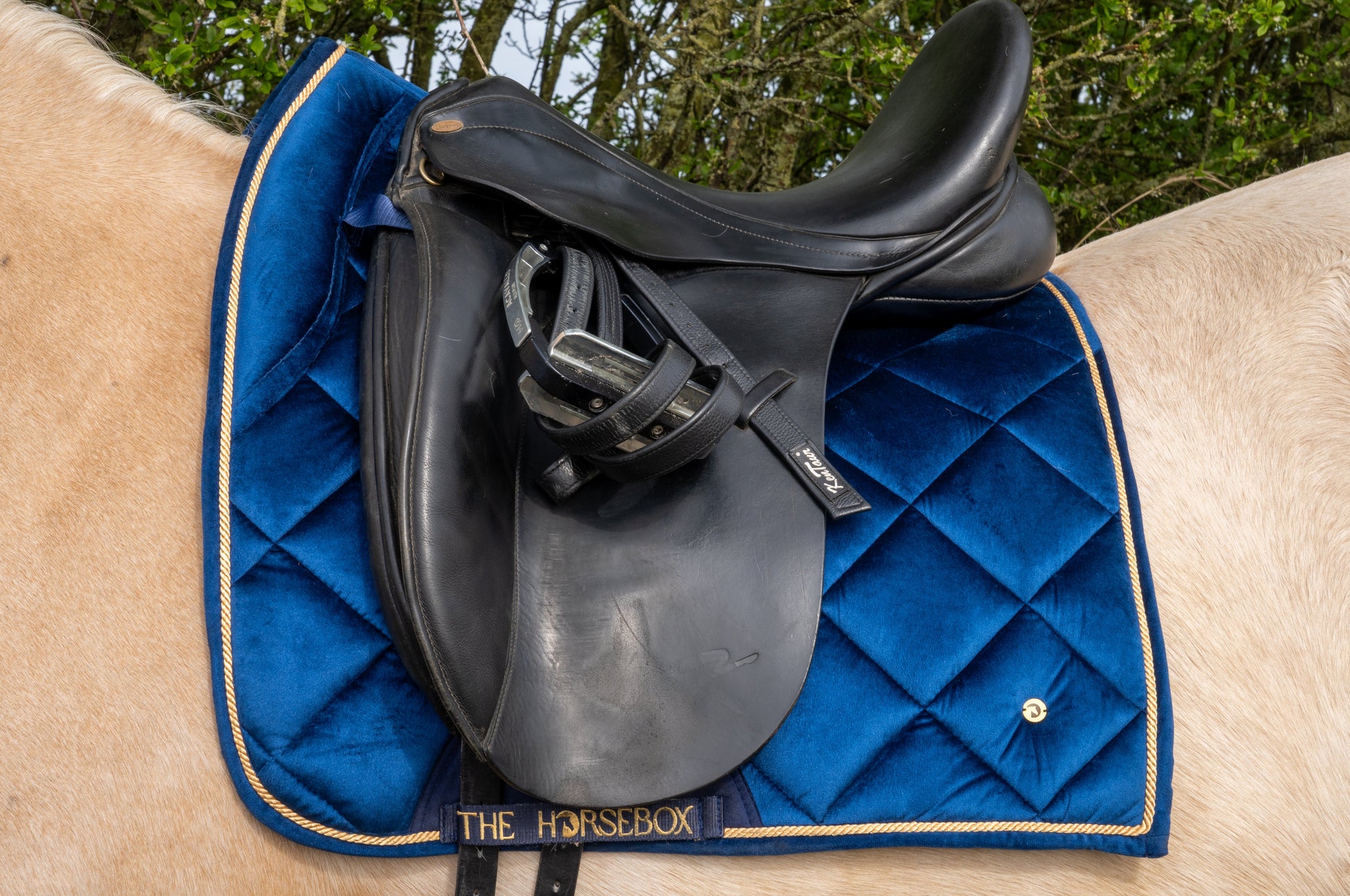 Zadeldekje in blauw fluweel met een zwart zadel, verkrijgbaar bij THE HORSEBOX