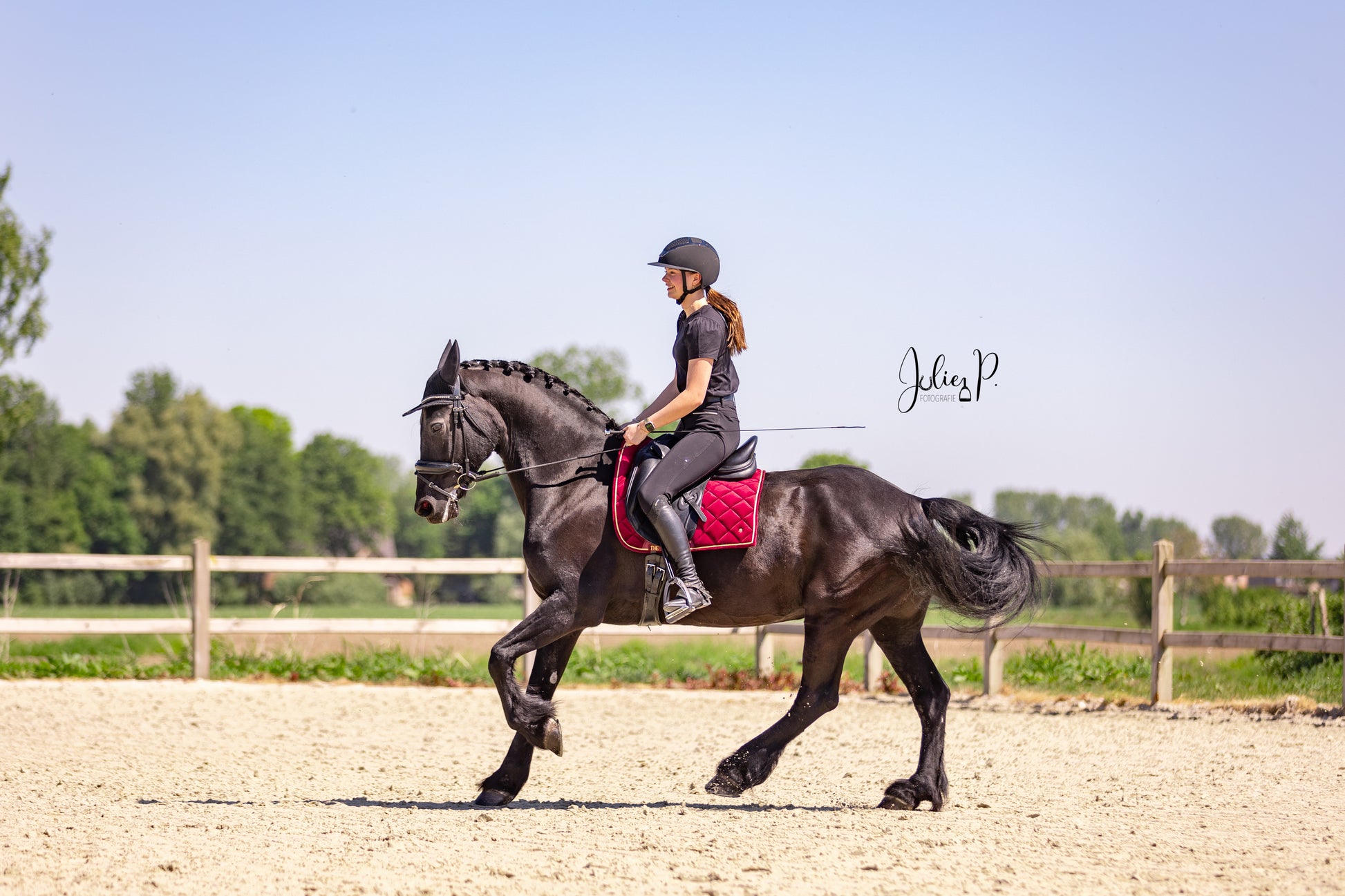 Ruiter in het zwart met paard op een dressuurterrein, met een Bordeaux Velvet zadeldekje